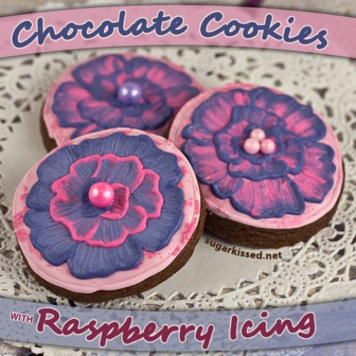 Chocolate Cookies with Raspberry Icing