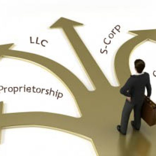 How to Choose a Business Entity – Luce Accounting Services